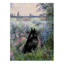 Schipperke 6 - By the Seine Post Cards