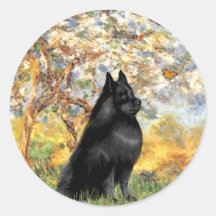 Schipperke 6 - Spring Round Stickers