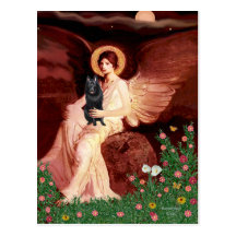 Schipperke 7 - Seated Angel Post Card