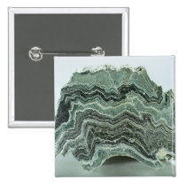Schist rock buttons