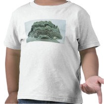 Schist rock t-shirts