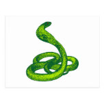 Schlange Kobra snake cobra Postkarte