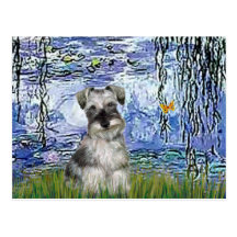 Schnauzer 1N - Lilies 6 Post Cards