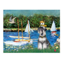Schnauzer 6 - Sailboats Postcards