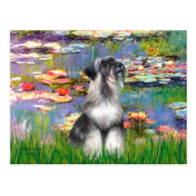 Schnauzer 6N - Lilies 2 Post Card
