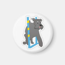 Schnauzer Agility Magnet