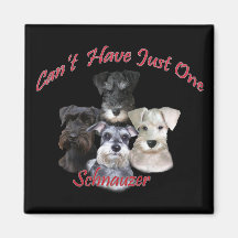 Schnauzer Can't Have Just One Fridge Magnets