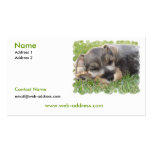 Schnauzer Dog Business Card business cards