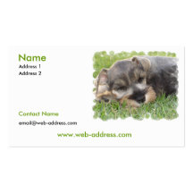 Schnauzer Dog Business Card