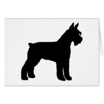 Schnauzer géant (noir) cartes