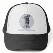 Schnauzer Granddog