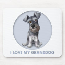 Schnauzer Granddog