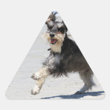 Schnauzer - Jr is a Happy Boy! Sticker