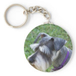 Schnauzer  Keychain keychains