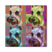 schnauzer