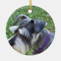 Schnauzer Ornament