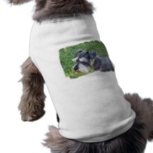 Schnauzer  Pet Shirt