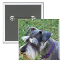 Schnauzer  Pin