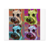 schnauzer