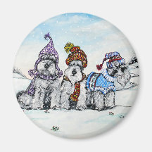 Schnauzers in Winter Magnets