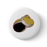 Schneckenhaus Meerschnecke sea snail shell buttons