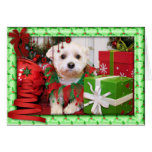 Schnoodle Christmas Photocard