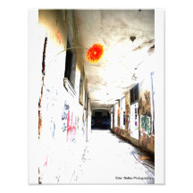 School #4 flower photo art
