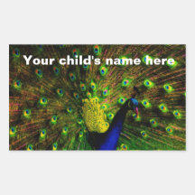 School Book Stickers Peacock Feathers