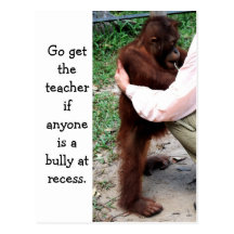 School Education Say No to a Bully Post Card