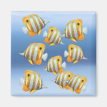 School of Copperband Butterfly Fish Magnet