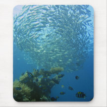 School of fish mousepad