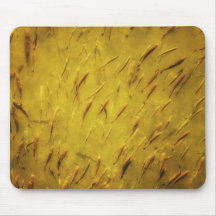 School of fish mousepad