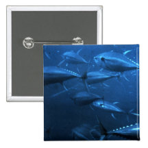 School of Yellowfin Tuna Buttons