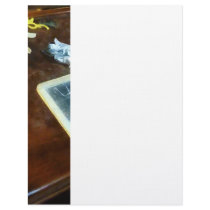 School Slates Letterhead Template