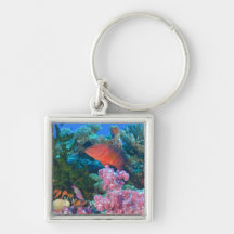 schooling Fairy Basslets  (Pseudanthias Keychains
