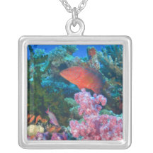 schooling Fairy Basslets  (Pseudanthias Custom Necklace