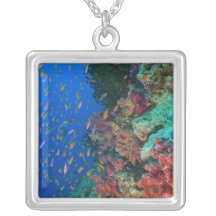 Schooling Fairy Basslets (Pseudanthias Personalized Necklace