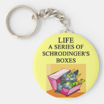 schrodinger's cat box joke key chain