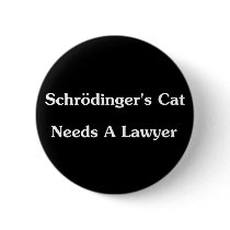 Schrodinger's Cat Needs A Lawyer Pin