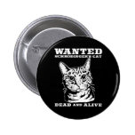 Schrodinger's cat wanted dead or alive pinback button
