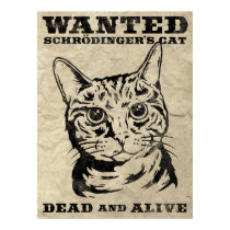 Schrodinger's cat wanted dead or alive posters