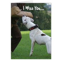 Schutzhund American Bulldog Greeting Cards