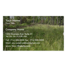 Schwalbea americana habitat business card template