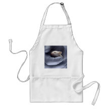 Science Apron