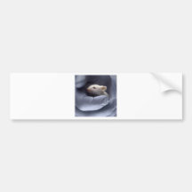 Science Bumper Stickers