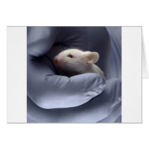 Science Cards