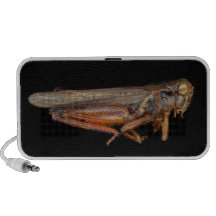 Science - Entomology - The specimin Laptop Speakers