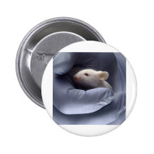 Science Pinback Buttons