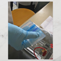 Scientist conducting an experiment flyer design