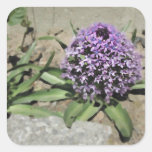 Scilla. Pretty purple flower. Square Stickers